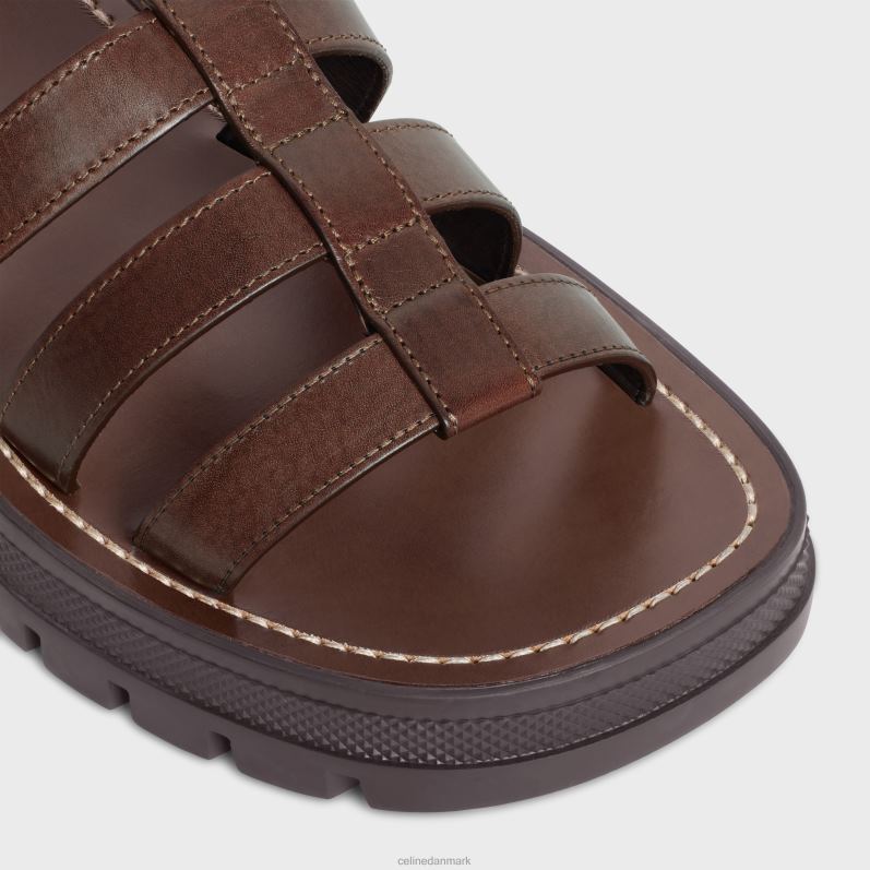 CELINE Kvinder clea triomphe gladiatorsandaler i kalveskindsvegetal garvning F44FV987 fodtøj mørkebrun