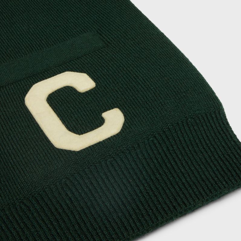 CELINE Mænd paris cardigan i uld F44FV1793 beklædning Skov