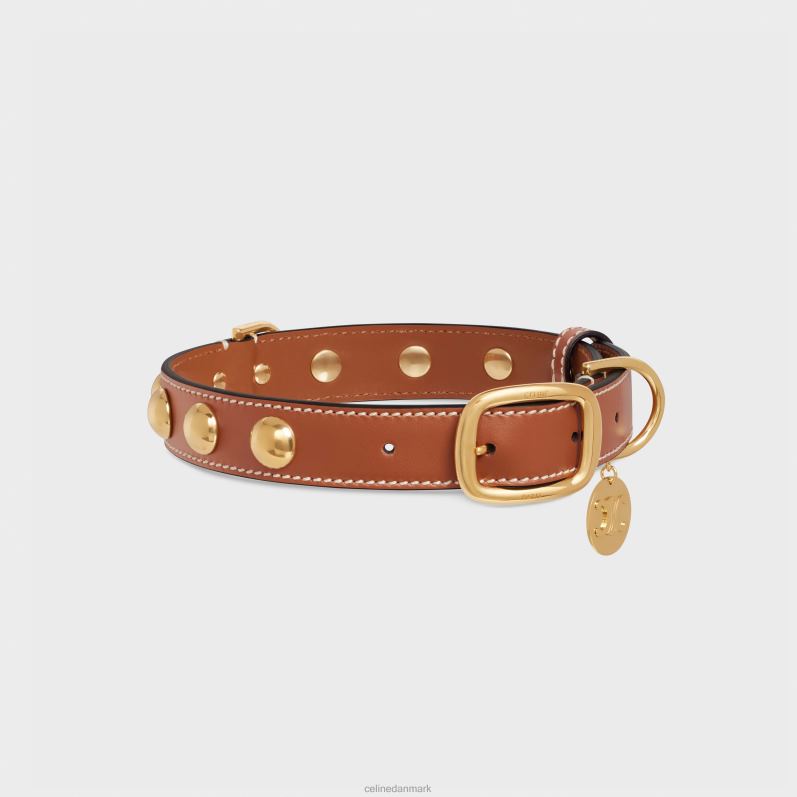 CELINE Mænd bredt medium hundehalsbånd i glat kalveskind med nitter F44FV1760 tilbehør tan