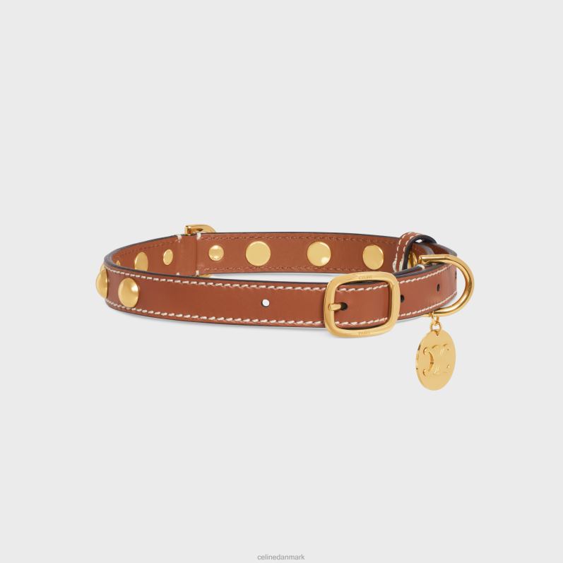 CELINE Mænd medium tyndt hundehalsbånd i glat kalveskind med nitter F44FV1759 tilbehør tan